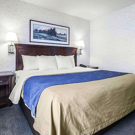 Comfort Inn Bellingham Exterior photo