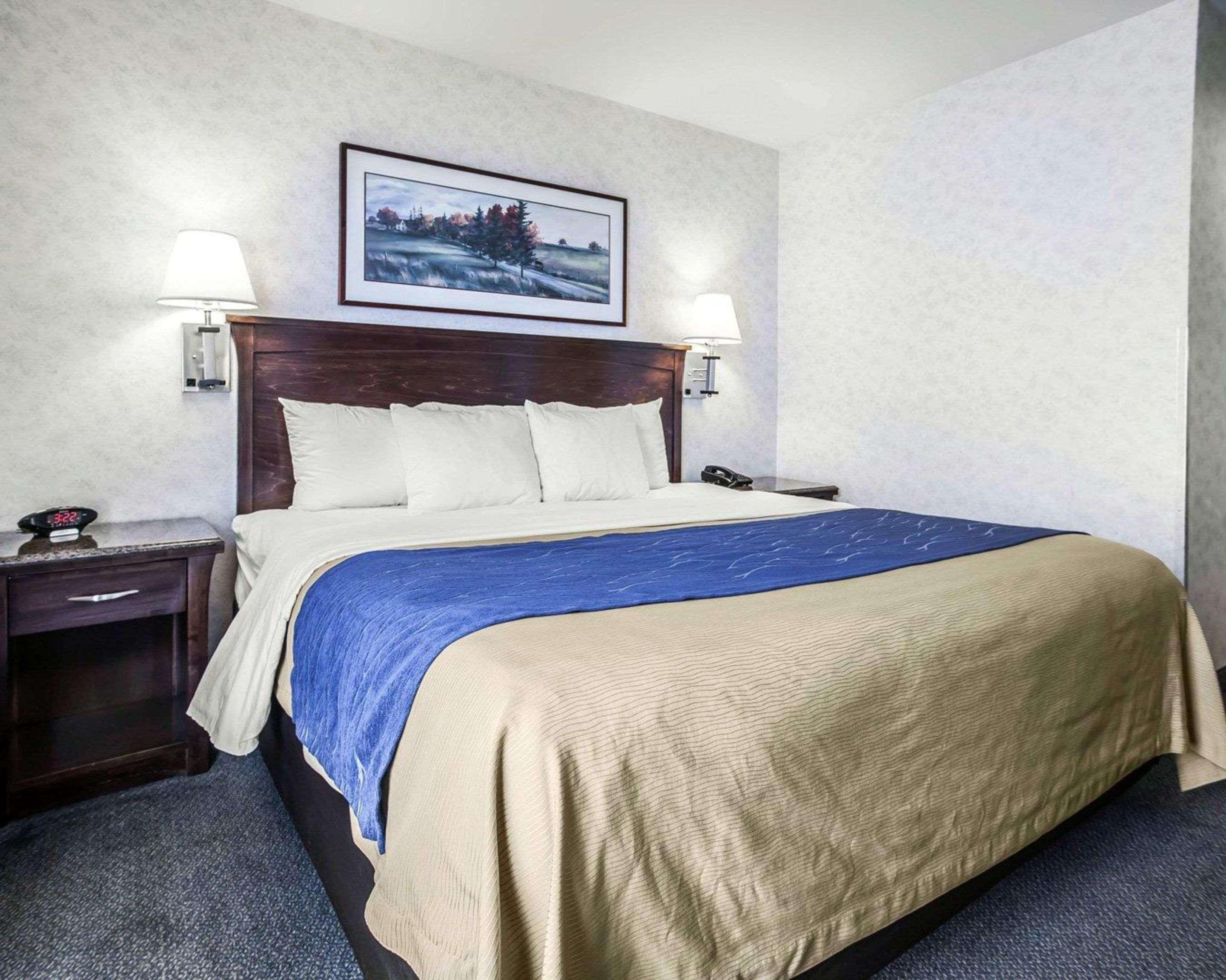 Comfort Inn Bellingham Exterior photo