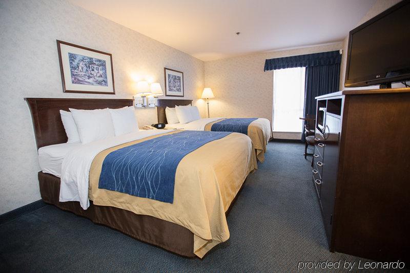 Comfort Inn Bellingham Exterior photo